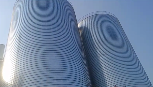 屏南2座混凝土高架卷板仓